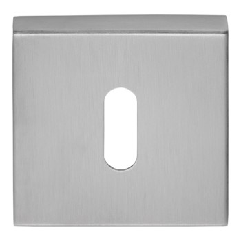 Sleutelplaatje D10V mat RVS