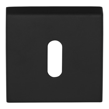 Sleutelplaatje D10V mat zwart