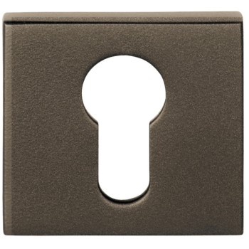 Cilinderplaatje D10V brons 