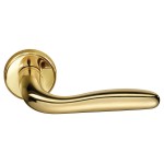 Deurkruk Geo Gold BIOV
