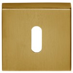 Sleutelplaatje Basic BSQN53 PVD mat goud