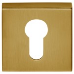 Cilinderplaatje Basic BSQY53 PVD mat goud