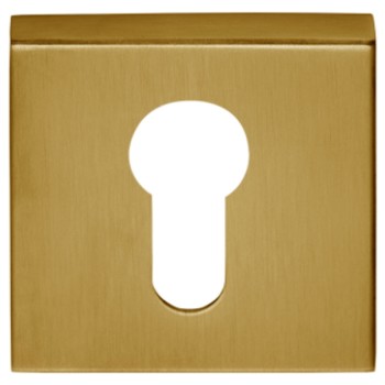 Cilinderplaatje Basic BSQY53 PVD mat goud
