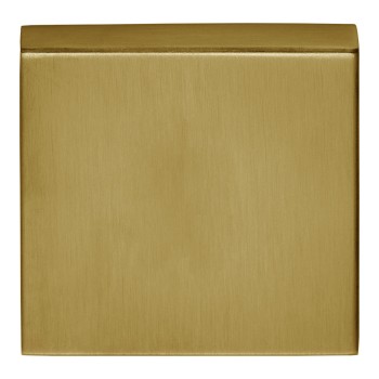 Blindplaatje Basic BSQN53 mat goud PVD