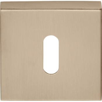 Sleutelplaatje D10V licht brons