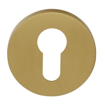 Cilinderplaatje Eclipse DRY53 PVD mat goud