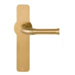 Deurkruk schild Nour EV100P210SFC mat goud
