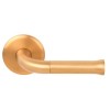 Deurkruk Nour EV101/64 rond rozet PVD mat goud