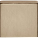 Blindplaatje Basic BSQN53 PVD licht brons 