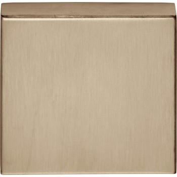Blindplaatje Basic BSQN53 PVD licht brons 