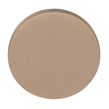 Blindplaatje Eclipse DRB53 PVD licht brons 