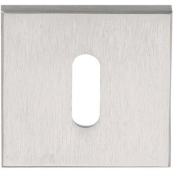 Sleutelplaatje LSQBN50 mat RVS