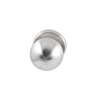 Deurkruk Sfera rond rozet RVS