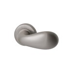 Deurkruk Olympia rond rozet Inox PVD