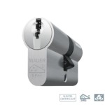 Mauer DT1 31/31