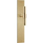 Deurkruk op schild Piet Boon ONE PBT15P236 PVD mat goud