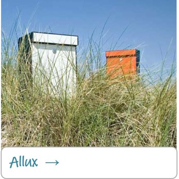 Allux Allux